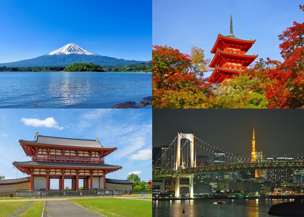 新和観光バス(旅行事業部)